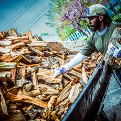 Urban lumberjack