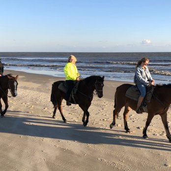 Two-bit Stable Horseback Riding On The Beach - Horseback Riding Near Me - Cape San Blas, Florida Two-bit Stable Horseback Riding On The Beach - Horseback Riding Near Me - Cape San Blas, Florida