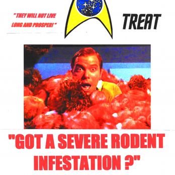 AAA Star Treat Pest Services - Pest Control Near Me