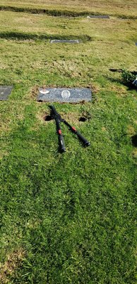 Inglewood Park Cemetery by null