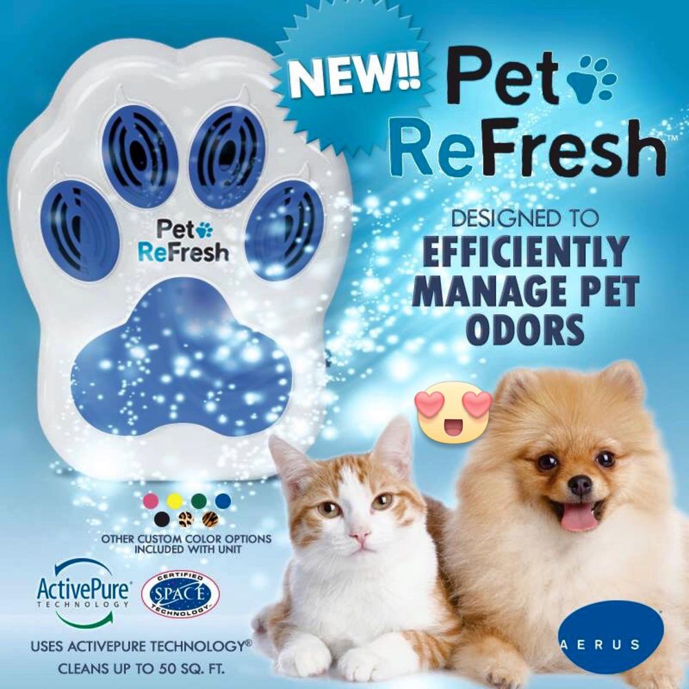 AERUS ELECTROLUX Updated August 2024 28 Photos 6400 Airport Rd