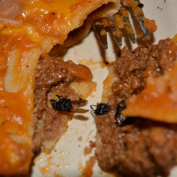 El Gitano Mexican Restaurant - Found in ground beef enchilada from El Gitano! - Mexican Near Me - Bellingham, Washington