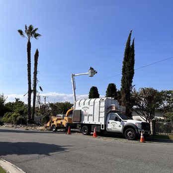 Paez Tree Service - Tree Services Near Me - Anaheim, California