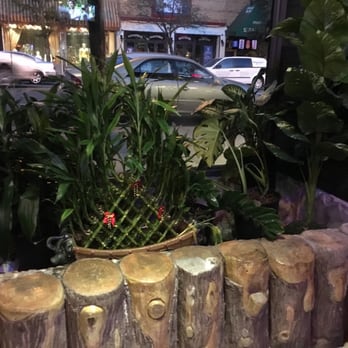 Moon Star Grill - Plants in the front - Asian Fusion Near Me - Riverdale, New York Moon Star Grill - Plants in the front - Asian Fusion Near Me - Riverdale, New York