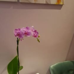 Yulia's Skin Care