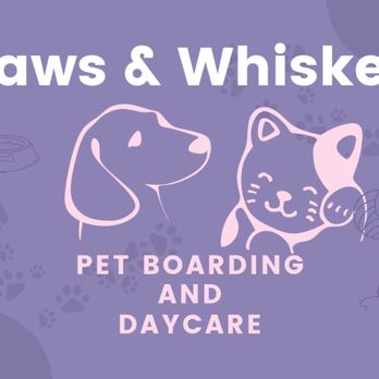 Paws and Whiskers - Dog Walkers Near Me Paws and Whiskers - Dog Walkers Near Me