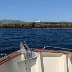 Dingle Dolphin Boat Tours