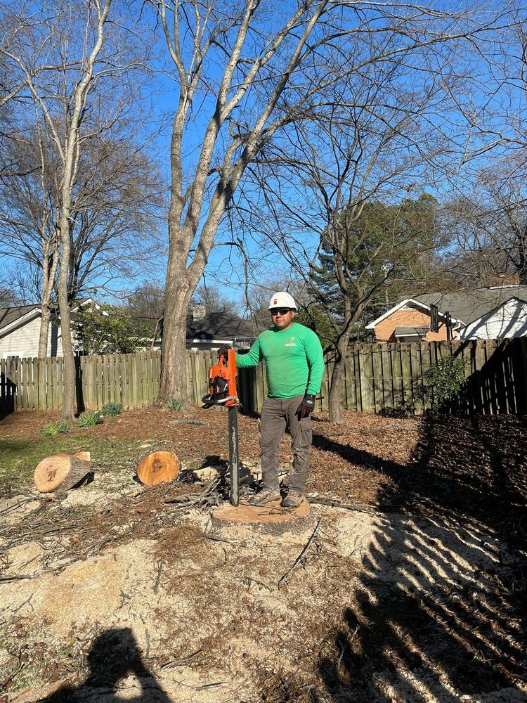 Guzman Green Land & Tree - tree service in Charlotte, NC