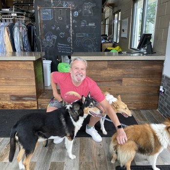 Garmint Cleaners - Foreground: Cash, Breezy, Elroy. Foreground: He who payeth the bills. - A man kneels with three dogs inside a dry cleaning business, with clothing racks and a counter in the background. - Sewing & Alterations Near Me - Forest Park, Illinois