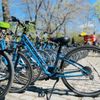 Central Park Tours & Bike Rentals gift card