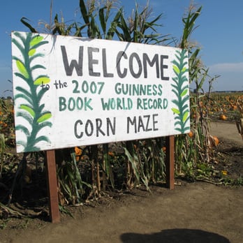 Cool Patch Pumpkins - Pumpkin Patches Near Me - Dixon, California