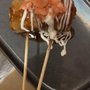 Photo of Yakitori la Kushi