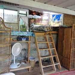 Sweet Spot Hawaii - Jungle Suite
