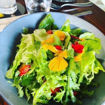 Juniper - Salad - Italian Near Me - Austin, Texas