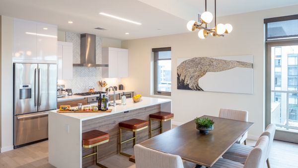 St Paul Collection by null