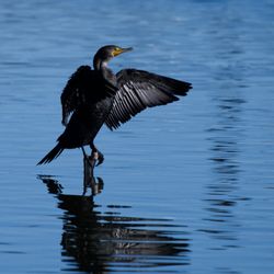 El Estero Park