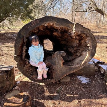 Bernheim Forest and Arboretum - Parks Near Me - Clermont, Kentucky