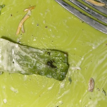 Salata - Dirt in salad - Salad Near Me - Round Rock, Texas Salata - Dirt in salad - Salad Near Me - Round Rock, Texas