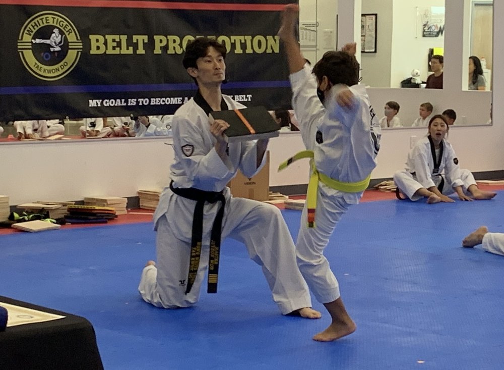 Won's White Tiger Taekwondo Logo