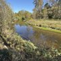 White Lick Creek Trail