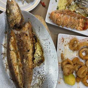 Abuqir Seafood - Bronzini Calamari - Mediterranean Near Me - Astoria, New York Abuqir Seafood - Bronzini Calamari - Mediterranean Near Me - Astoria, New York