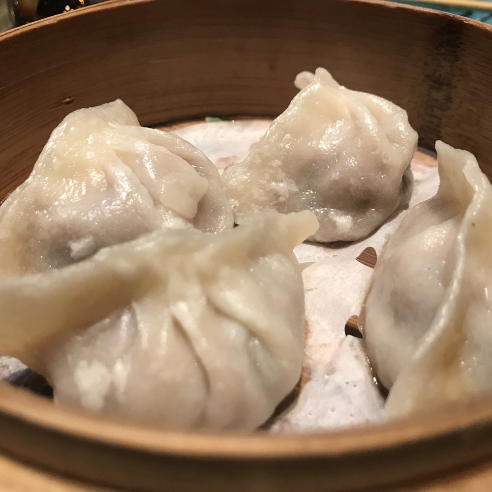 Dynasty Dim Sum - Pork Dumplings @ Dynasty Dim Sum - Dim Sum Near Me - New York, New York