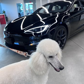 Tesla - Car Dealers Near Me - Carlsbad, California