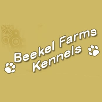Beekel Farms Kennels - Pet Boarding Near Me - Adrian, Michigan Beekel Farms Kennels - Pet Boarding Near Me - Adrian, Michigan