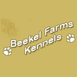 Beekel Farms Kennels