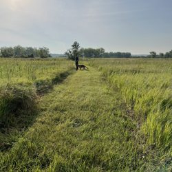 Big Stone Lake State Park - Prairie hike