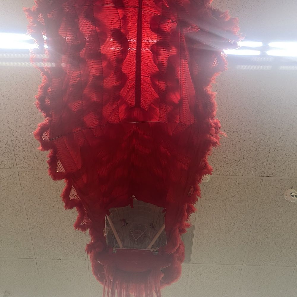 SF Supermarket - Nice Lion dancing decoration above my head. - Seafood Markets Near Me - Stockton, California