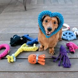 Red Earth Animal Hospital & Pet Boarding