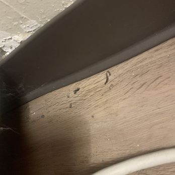 CrestHill Suites Syracuse - Bugs?! - Hotels Near Me - East Syracuse, New York CrestHill Suites Syracuse - Bugs?! - Hotels Near Me - East Syracuse, New York