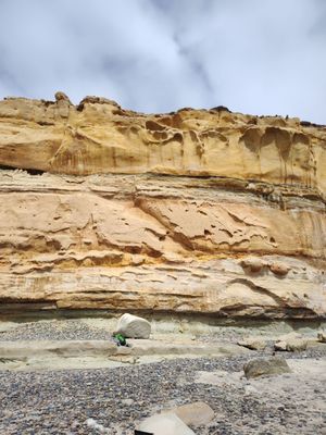 Torrey Pines State Natural Reserve by null