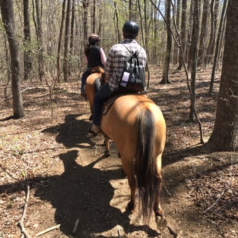 Rebel's Run at afton mountain - On the road less traveled... - Horseback Riding Near Me - Afton, Virginia Rebel's Run at afton mountain - On the road less traveled... - Horseback Riding Near Me - Afton, Virginia