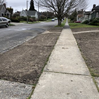 ECO Landscaping - Tagro Mix Topsoil and over seeded - Irrigation Near Me - Tacoma, Washington ECO Landscaping - Tagro Mix Topsoil and over seeded - Irrigation Near Me - Tacoma, Washington