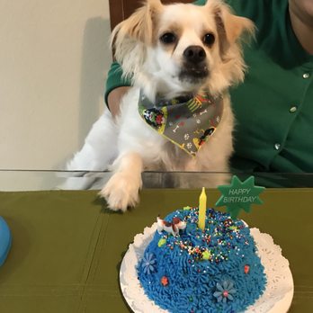 PJ's Pet Cafe - 1st Birthday - Pet Stores Near Me - Long Beach, California PJ's Pet Cafe - 1st Birthday - Pet Stores Near Me - Long Beach, California