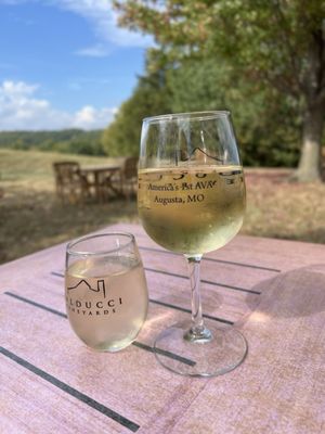 Balducci Vineyards by null