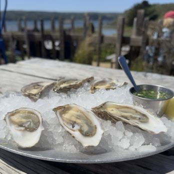 Hog Island Oyster - Seafood Near Me - Marshall, California Hog Island Oyster - Seafood Near Me - Marshall, California
