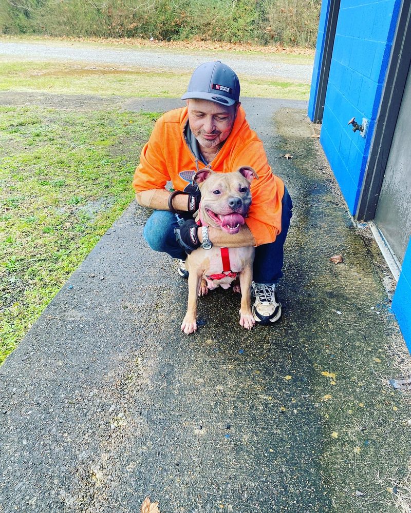 TRACTOR SUPPLY Updated September 2024 10 Photos 2626 Decatur Hwy