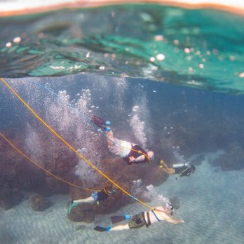 Trilogy Excursions - Snorkeling Near Me - Lahaina, Hawaii Trilogy Excursions - Snorkeling Near Me - Lahaina, Hawaii