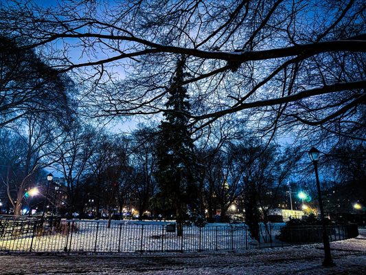 Tompkins Square Park by null