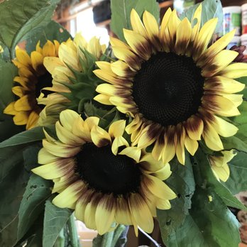 Boice's Farm - Fresh cut bouquets - in season - Farms Near Me - Saugerties, New York Boice's Farm - Fresh cut bouquets - in season - Farms Near Me - Saugerties, New York