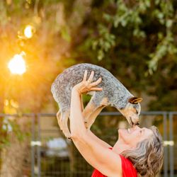 Horizon Heelers