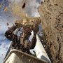 Photo of NW Tree Care
