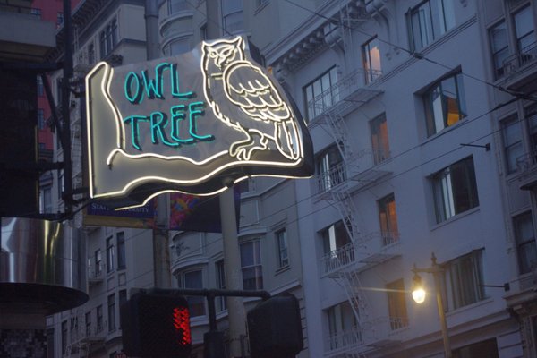Photo of Owl Tree - San Francisco, CA, US.