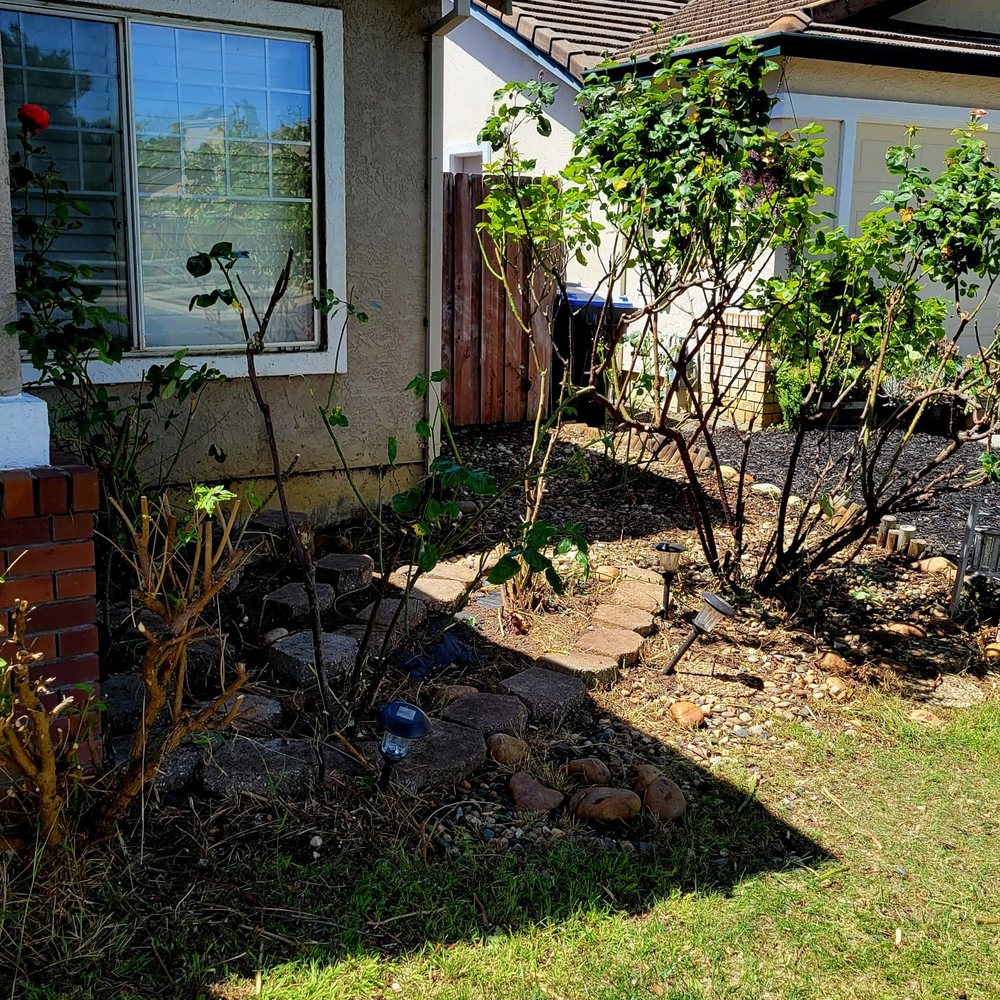 THE BEST 10 ARTIFICIAL TURF in SOLANO COUNTY, CA - Updated 2026 - Hours -  Yelp