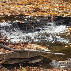 Presque Isle Wine Cellars - Fall 2023