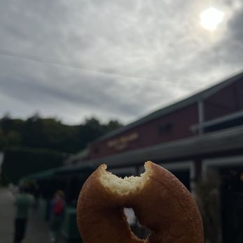 Rogers Orchards - Sunnymount - Apple cider donut - Fruits & Veggies Near Me - Southington, Connecticut Rogers Orchards - Sunnymount - Apple cider donut - Fruits & Veggies Near Me - Southington, Connecticut