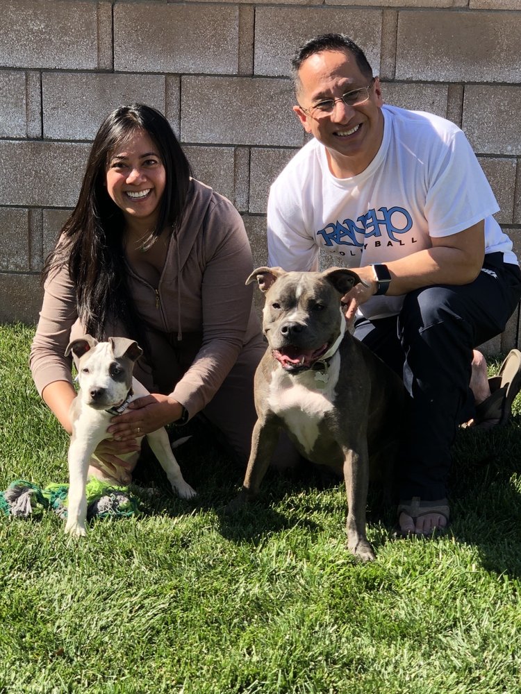 ANIMAL HOSPITAL OF RIVERSIDE Updated July 2024 37 Photos & 194